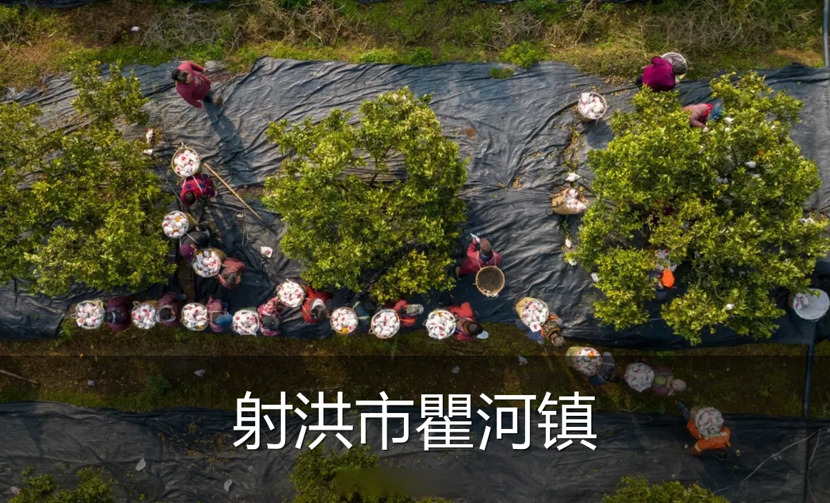 射洪市瞿河镇