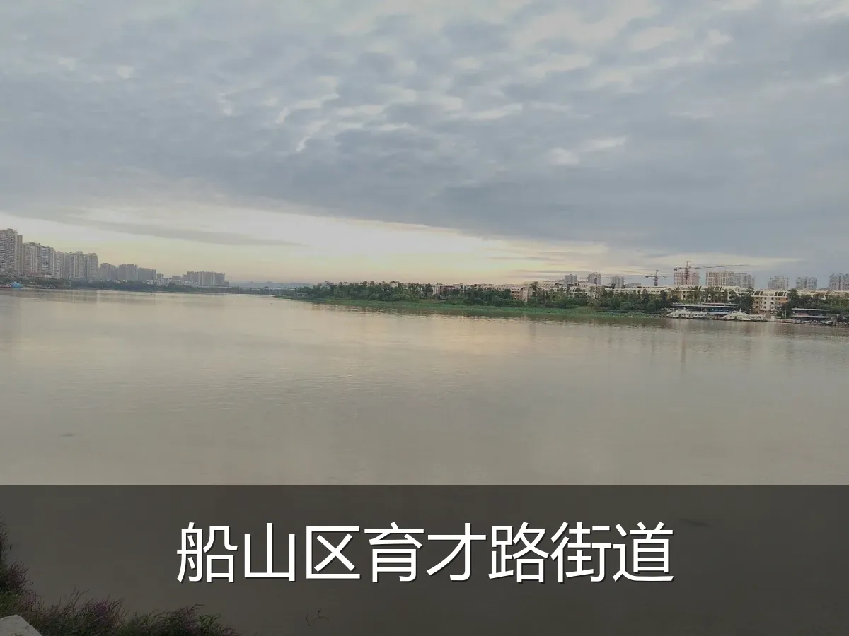 船山区育才路街道