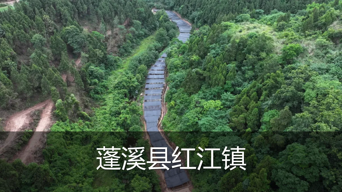 蓬溪县红江镇