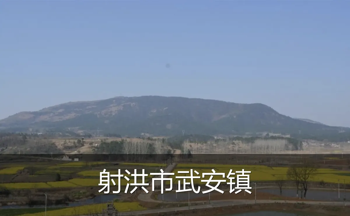 射洪市武安镇