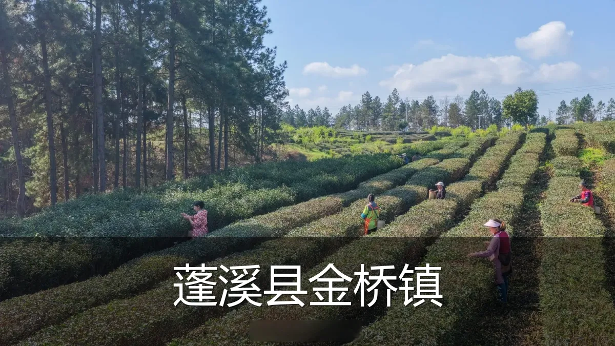 蓬溪县金桥镇