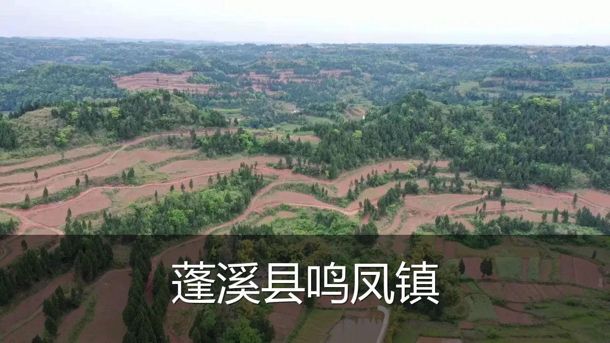 蓬溪县鸣凤镇